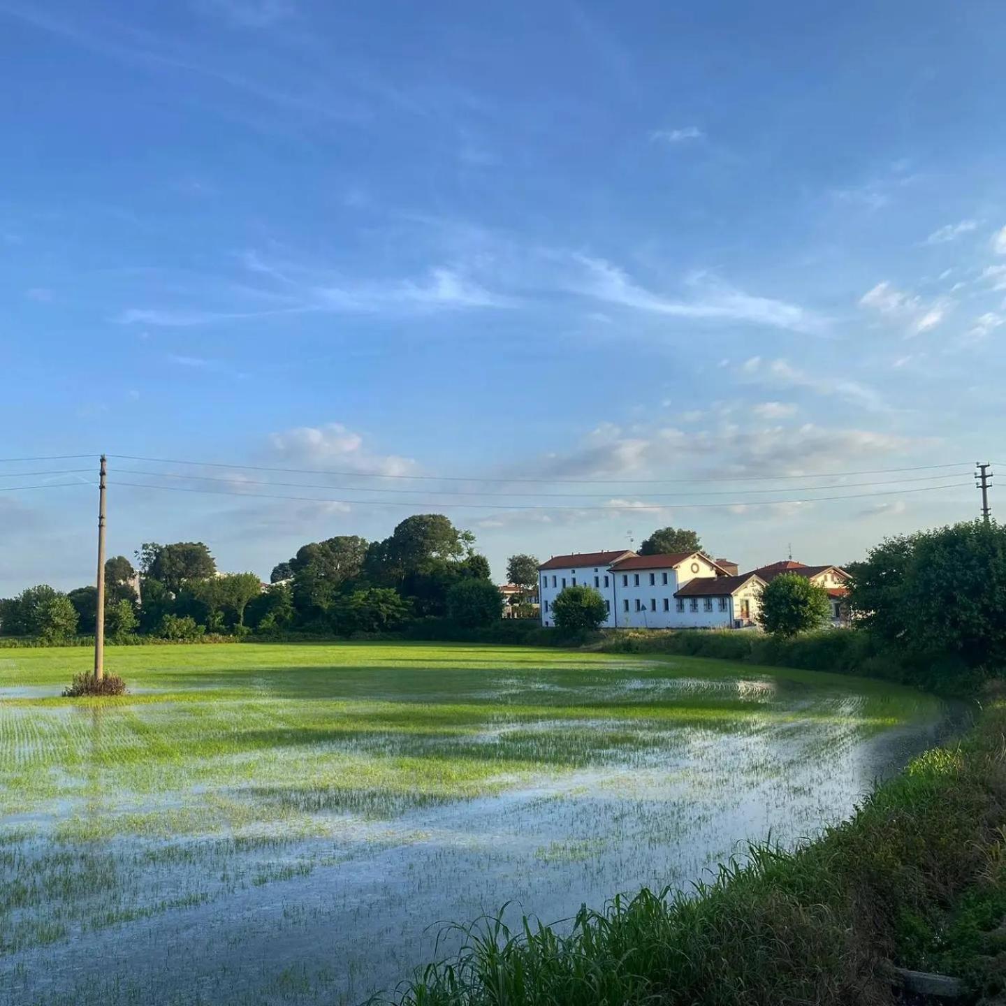 Cascina Mora Bassa Villa Vigevano Buitenkant foto